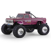 FMS Ford F100 1/10 RTR 2WD RC Monster Truck-30km/h, 550 Brushed Motor, 2.4G Remote
