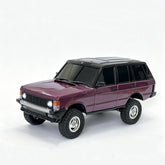 LDRC 18401 PRO RTR 1/18 2.4G 4WD FOC Sensored Brushless RC Car