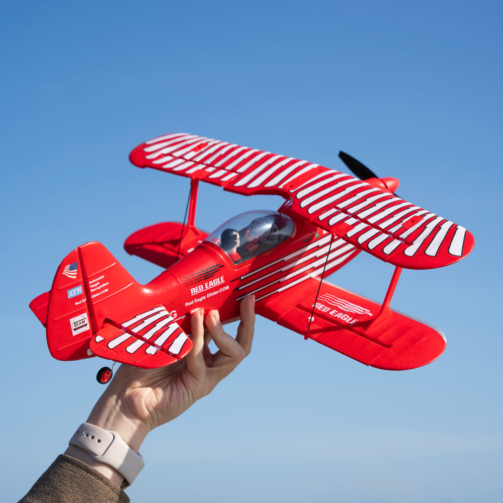 WLTOYS A310 2.4GHz Outdoor Aerobatic Anti-Loss RC AirPlane with Low Battery Alarm