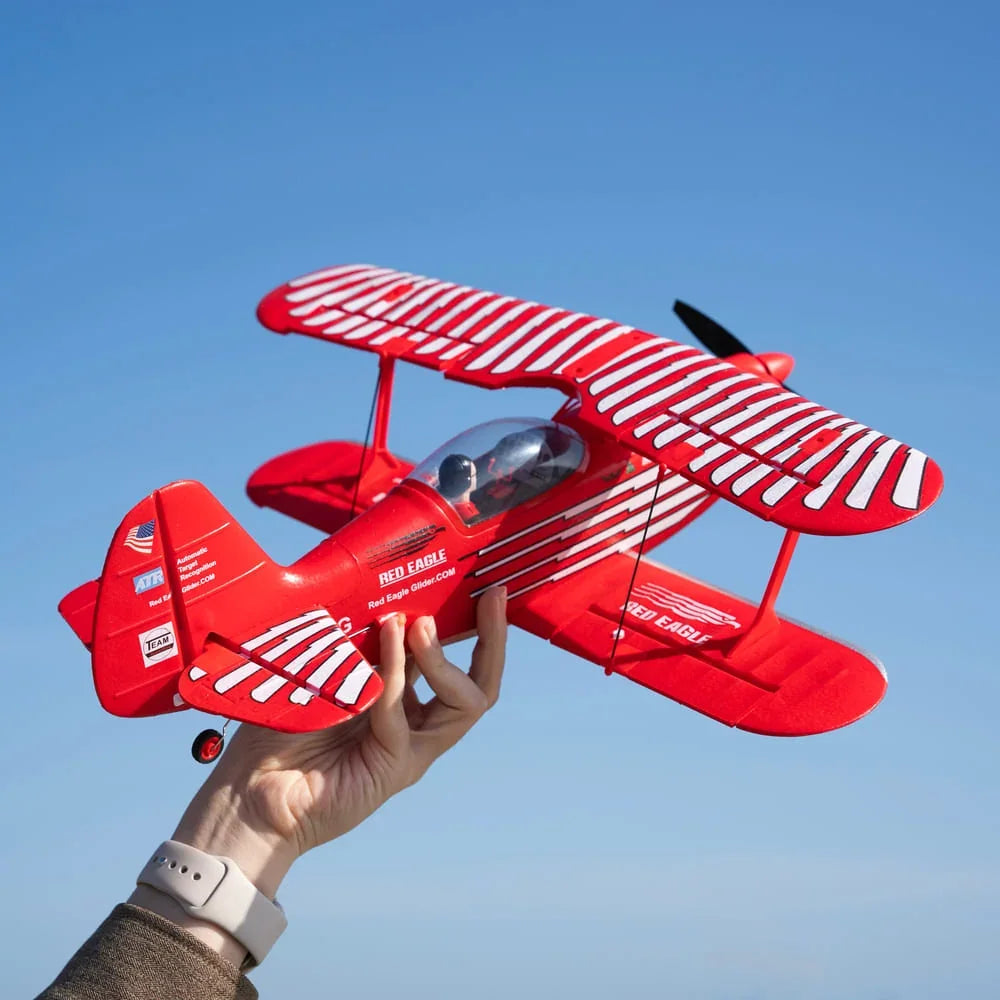 WLTOYS A310 2,4 GHz avion RC anti-perte de voltige extérieure avec alarme de batterie faible