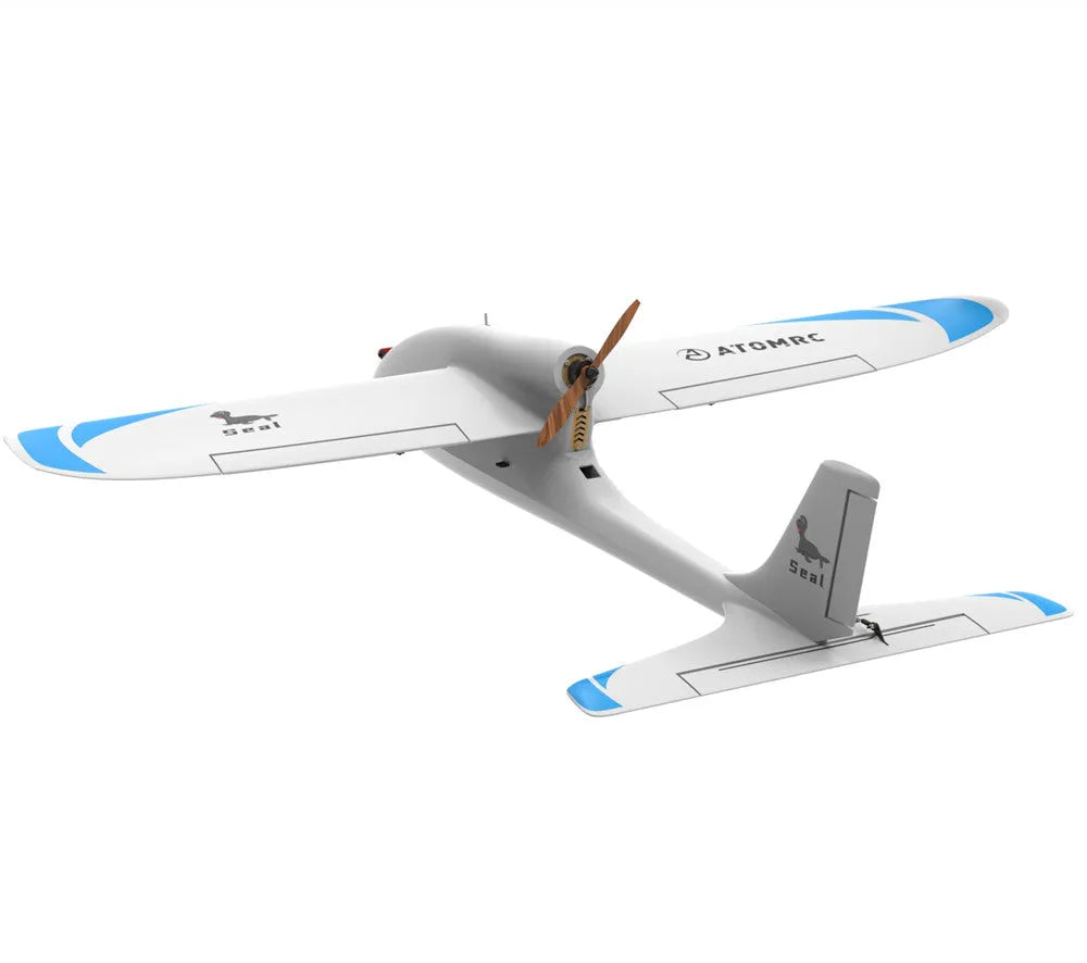RC Airplane