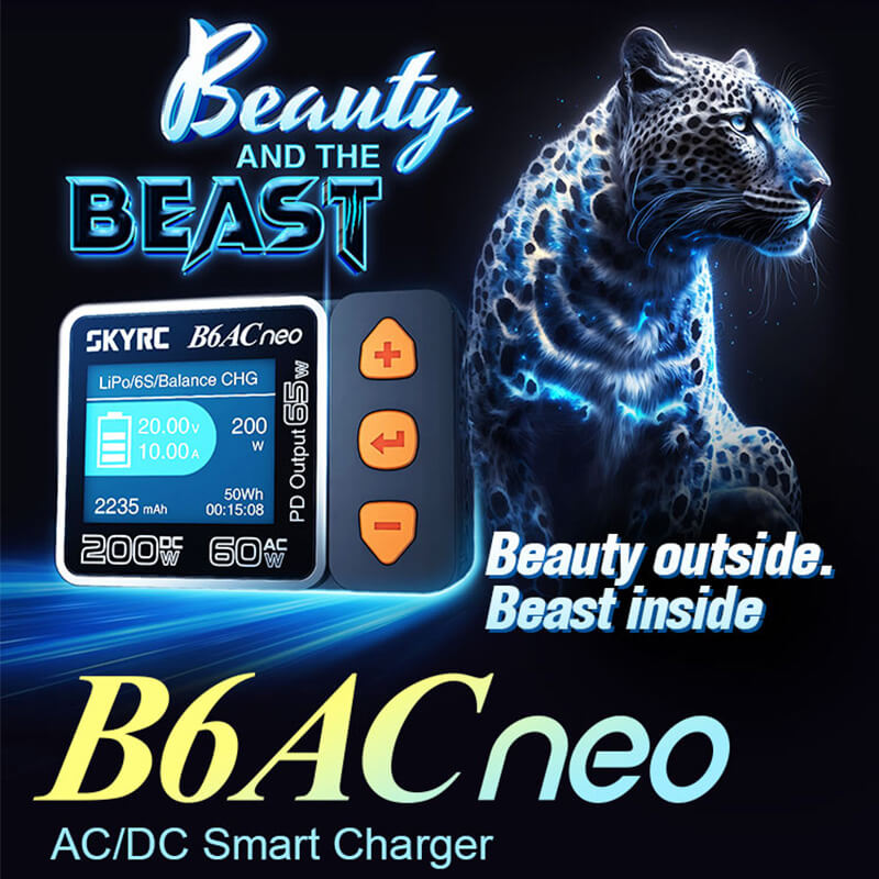 SKYRC B6ACneo Smart Charger AC 60W DC 200W 10A Battery Balance Charger