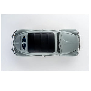 FMS ROCHOBBY 1:12 Beetle RC Car RTR - The People's Car (with GiTEKI mark) - Makerfire